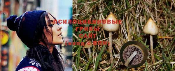 стафф Новокубанск