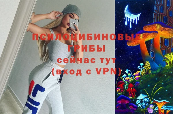 крисы Новозыбков