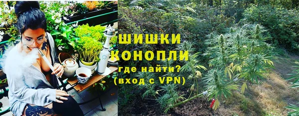 стафф Новокубанск