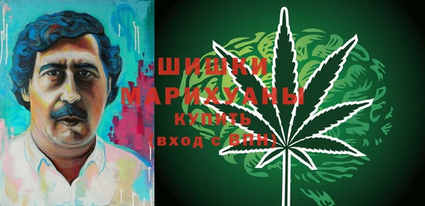 крисы Новозыбков