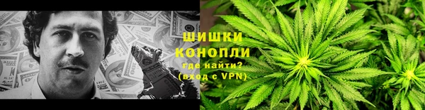 стафф Новокубанск