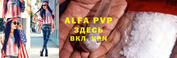 крисы Новозыбков