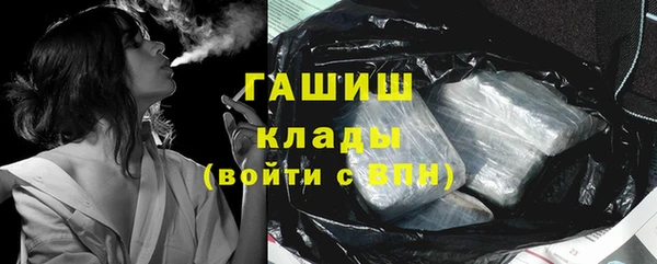 крисы Новозыбков