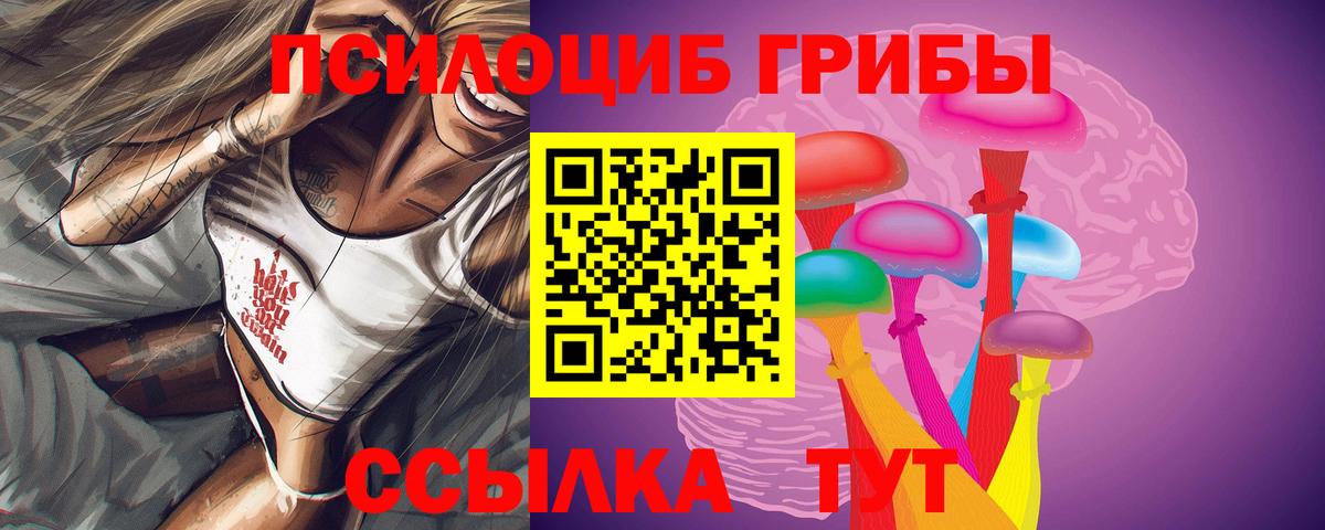 Галлюциногенные грибы мицелий  Вход с VPN  Галлюциногенные грибы мицелий  Барабинск 