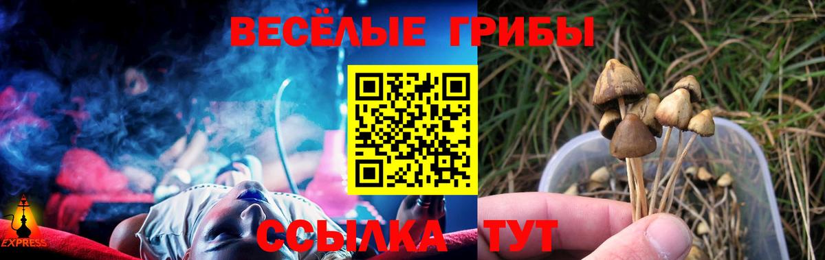 Галлюциногенные грибы мицелий Барабинск